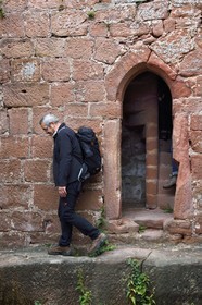 France, Bas Rhin, Northern Vosges Regional Natural Park, Niedersteinbach, Steinbach national forest, Wasigenstein Castle ruins, Jean-Louis Pfeffer vice president of the Club Vosgien federation
