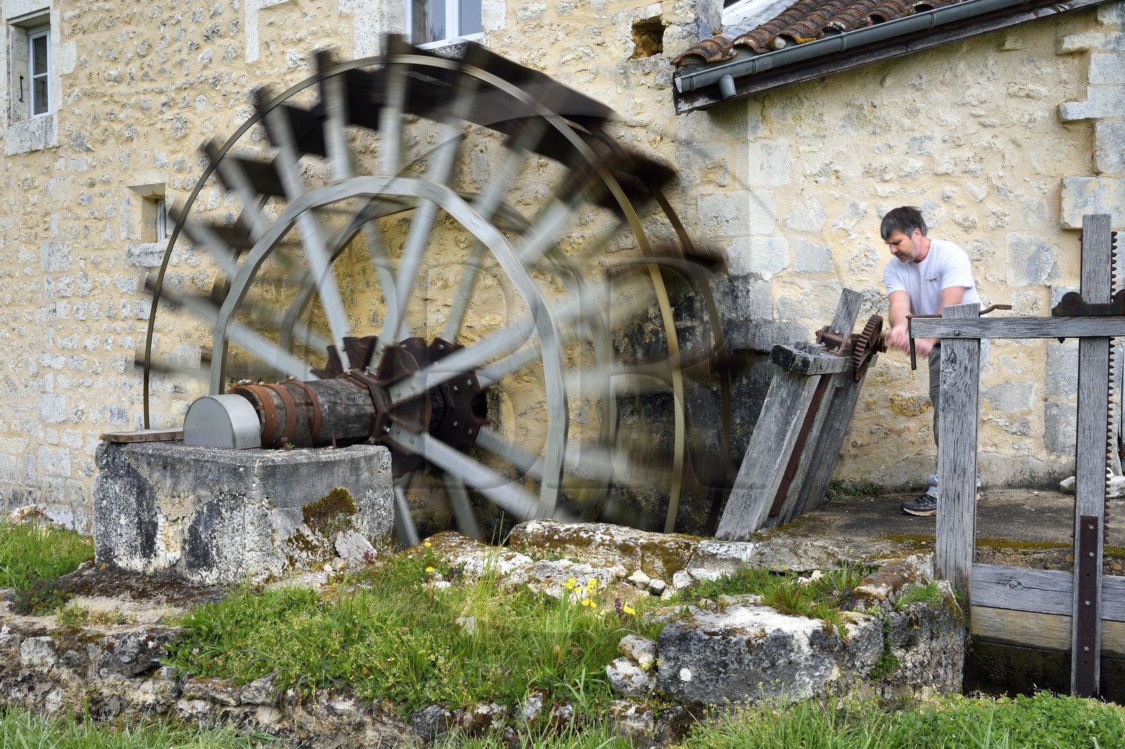 France, Charente (16), Pranzac, François fait fonctionner la roue dans son moulin du Millaguet