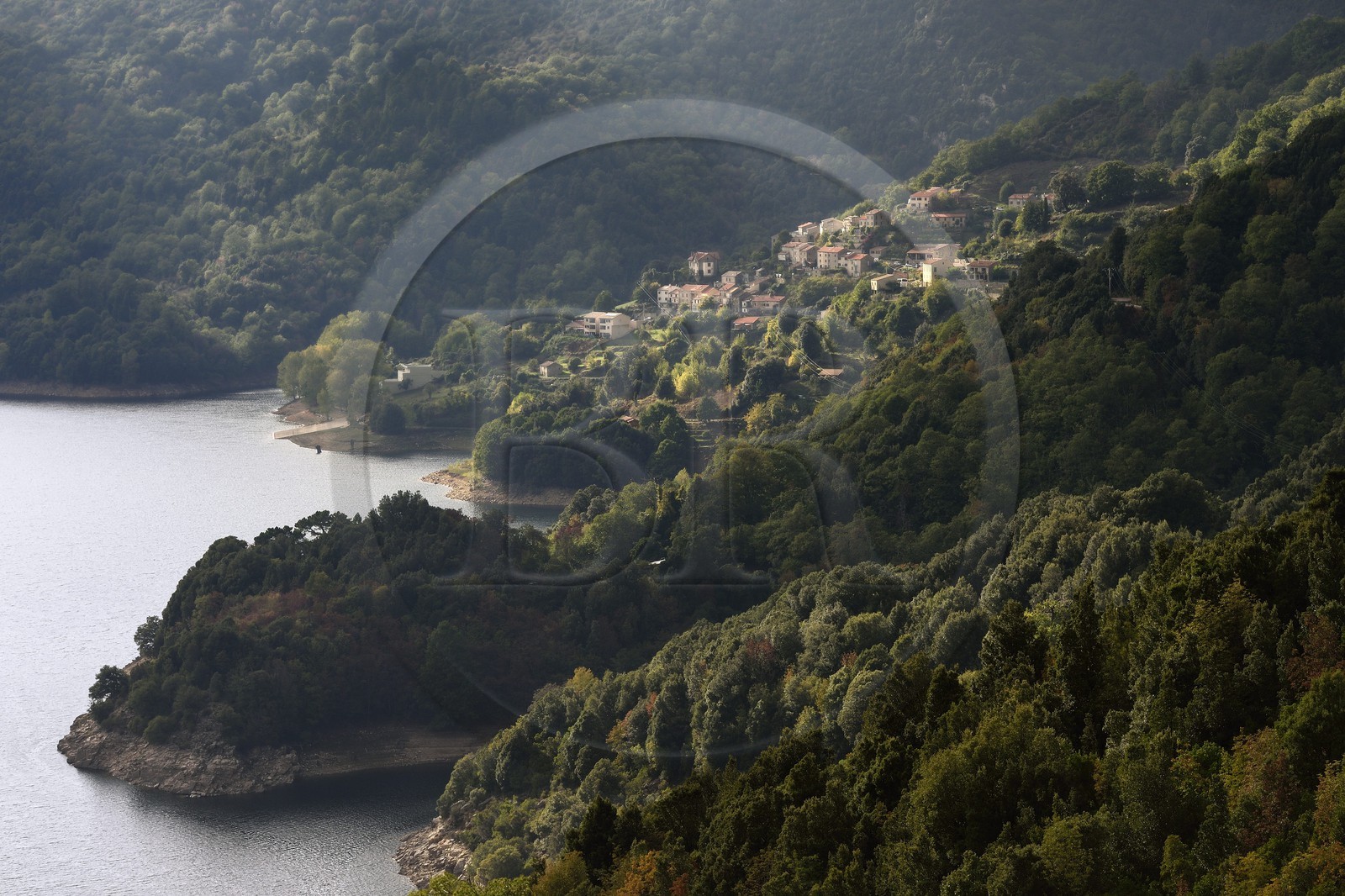 France, Corse-du-Sud (2A), Vallée du Prunelli, village de Tolla au bord du lac artificiel de Tolla depuis le col de la Scalledda