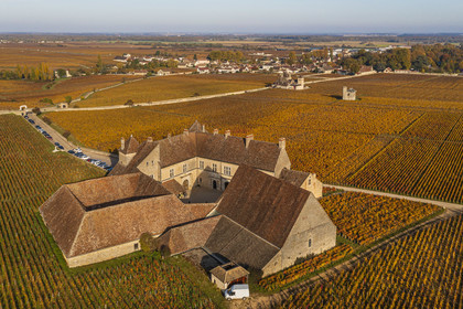France, Côte-d'Or (21), Paysage culturel des climats de Bourgogne classés Patrimoine Mondial de l'UNESCO, Vougeot, Route des Grands Crus, le vignoble et le chateau du Clos de Vougeot (vue aérienne)