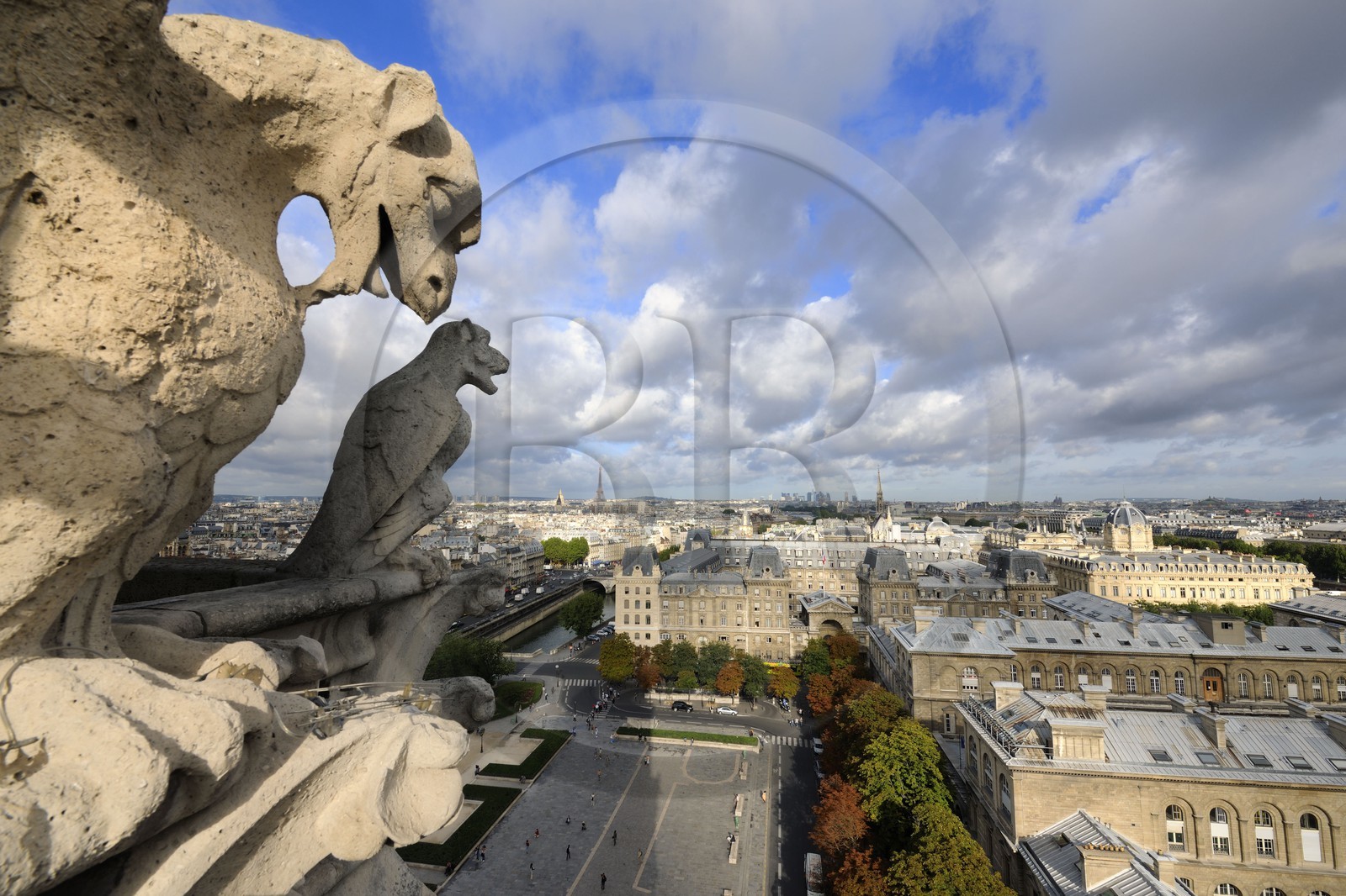 France, Paris (75), île de la Cité, la cathédrale Notre-Dame, les chimères observent la ville