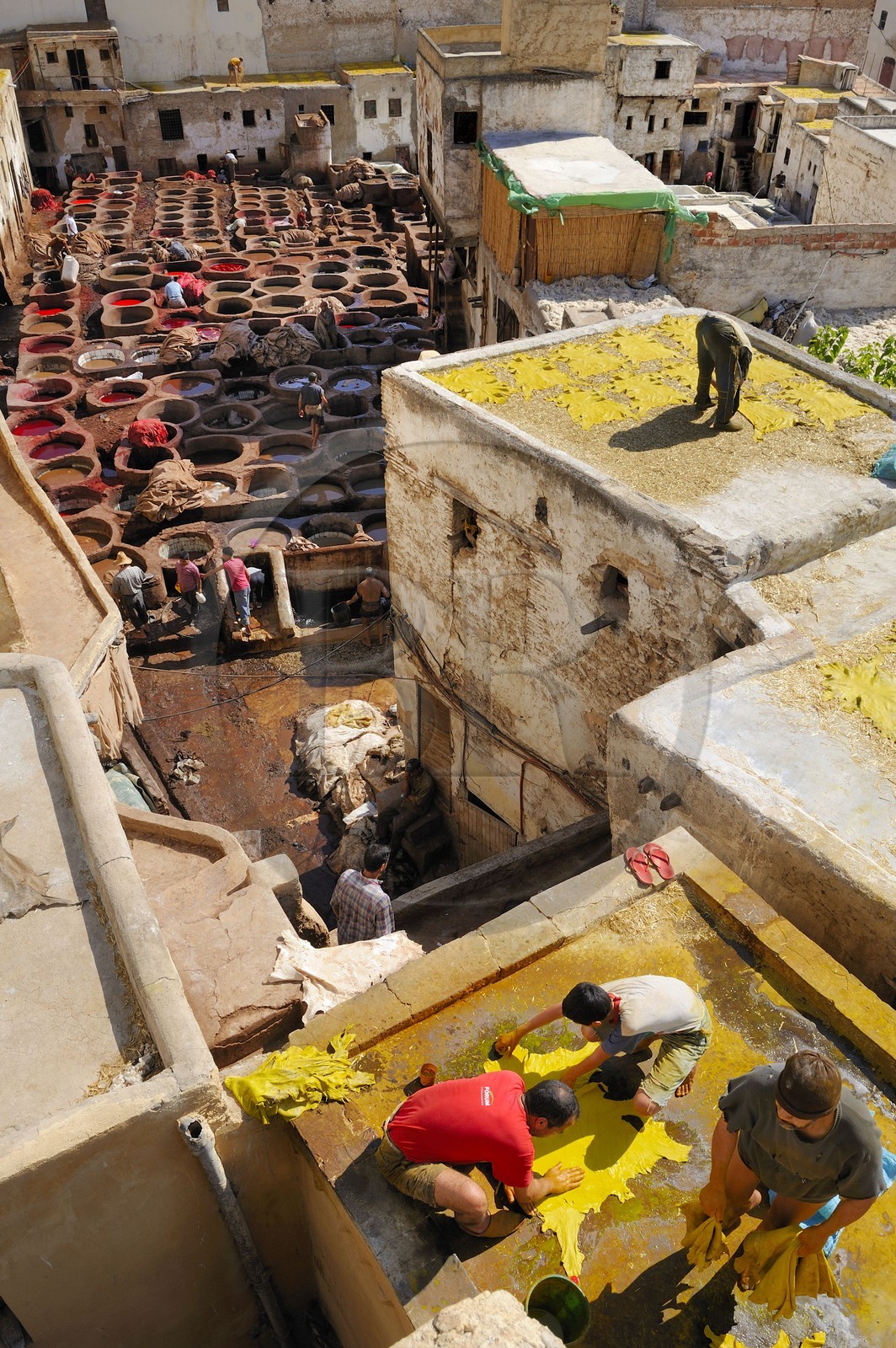 Maroc, Moyen Atlas, Fès, ville impériale, médina classée Patrimoine Mondial de l'UNESCO, Fès el Bali, quartier des tanneurs, Chouara