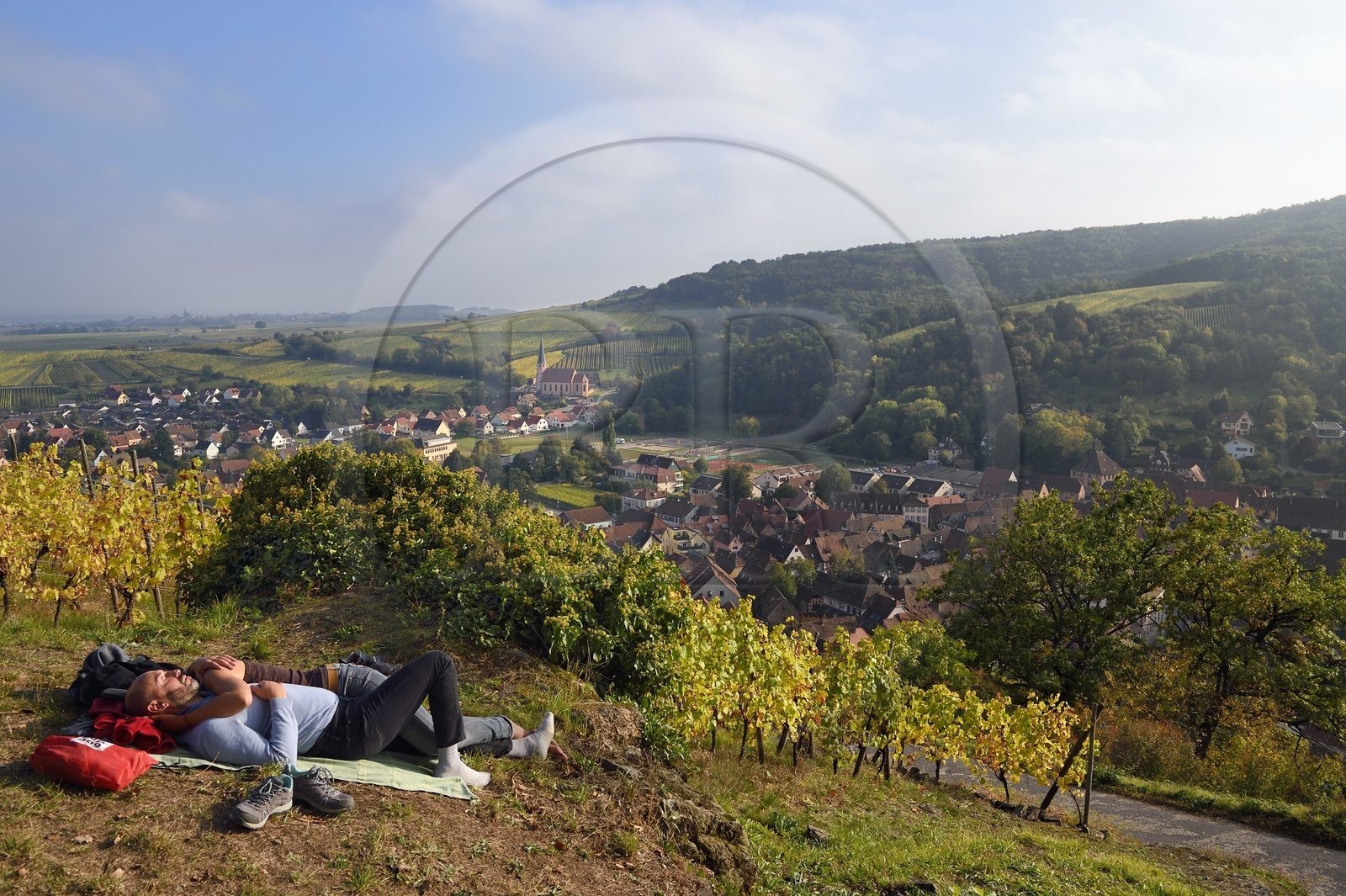 France, Bas-Rhin (67), Route des vins d'Alsace, Andlau, point de vue sur le village et la chapelle Saint-André en bordure du vignoble