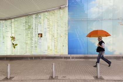 Sweden, Vasterbotten County, Umea, tribute to writer Sara Lidman in the pedestrian and bicycle tunnel to the central station, collective work including Gustavo Aguerre