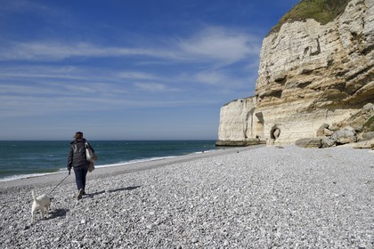 France, Seine-Maritime (76), Pays de Caux, Côte d'Albâtre, Etretat, Pointe de la Courtine, plage d'Antifer à marée basse