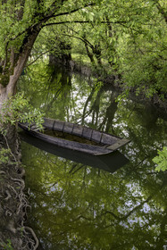 France, Vendée (85), Bouillé-Courdault, barque dans les marais sous les feuillages