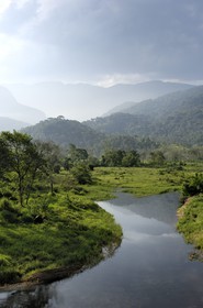 Brazil, Rio de Janeiro State, the Rio Barra Grande, coming from the Parque Nacional de Serra de Bocaina mountains, by the Paraty Bay (Gold Route, Estrada Real)