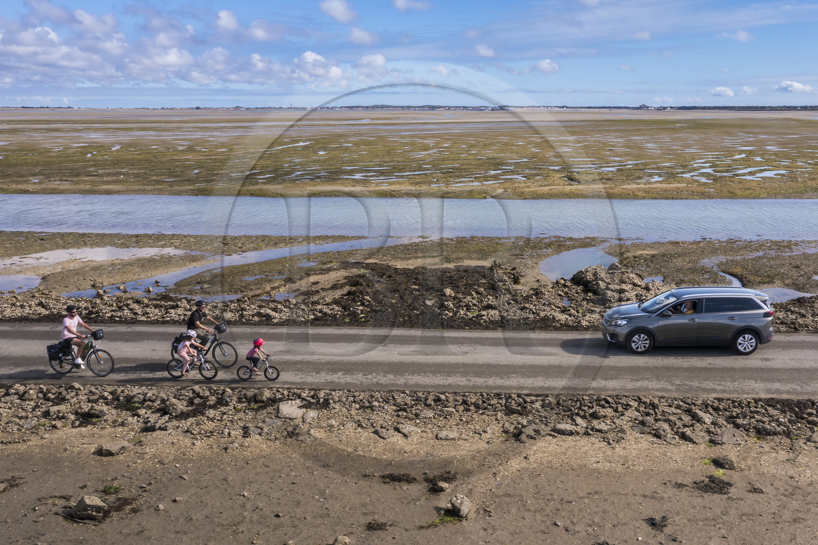 France, Vendee, Noirmoutier island, Barbatre, cyclists on the Passage du Gois, submersible causeway that connects the island to the mainland at low tide (aerial view)