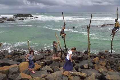 Sri Lanka, Province du Sud, région de Galle, Weligama, plage de Midigama, pecheurs sur poteaux