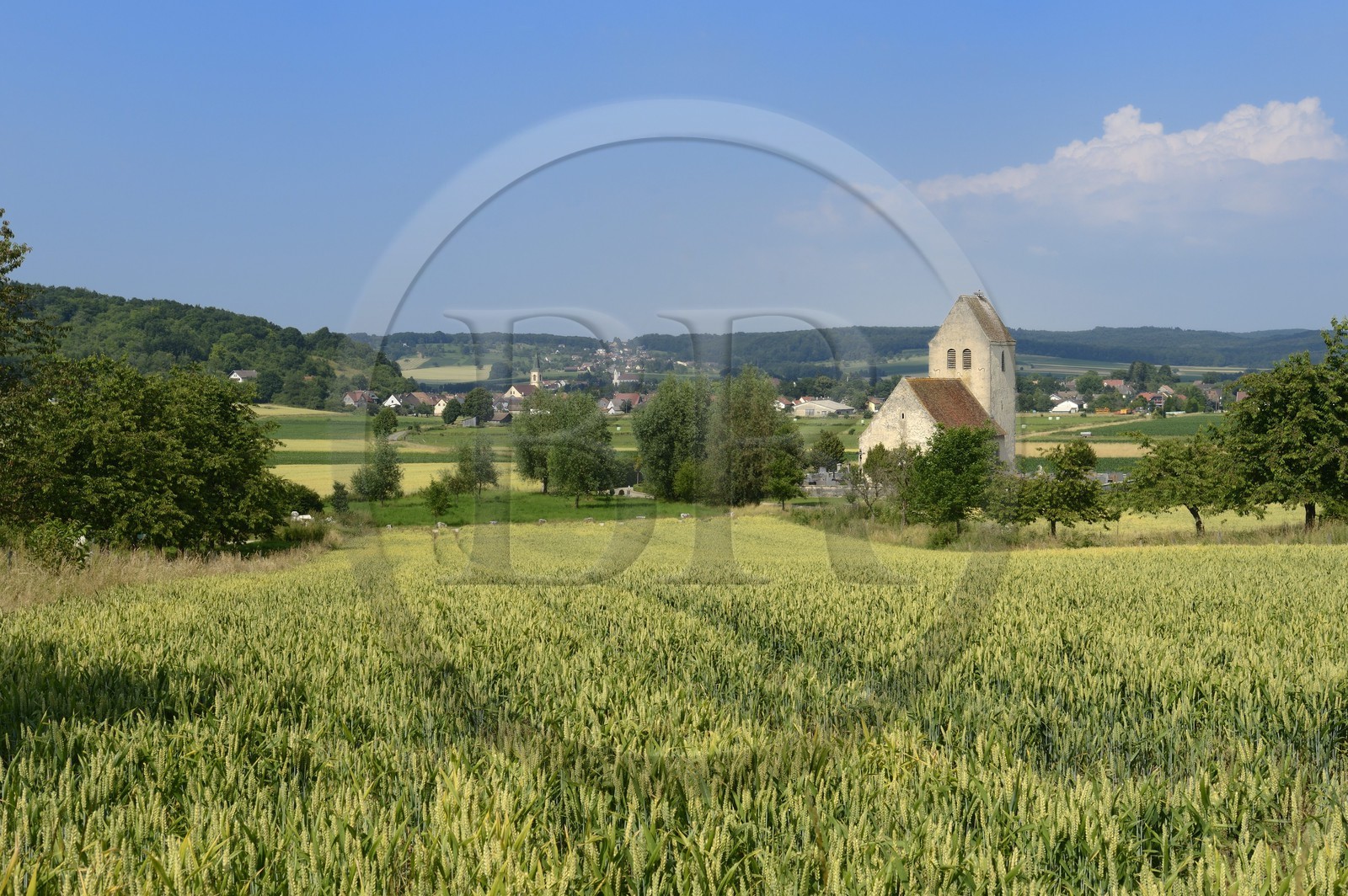 France, Haut-Rhin (68), Sundgau, Oltingue, église Saint-Martin-des-Champs