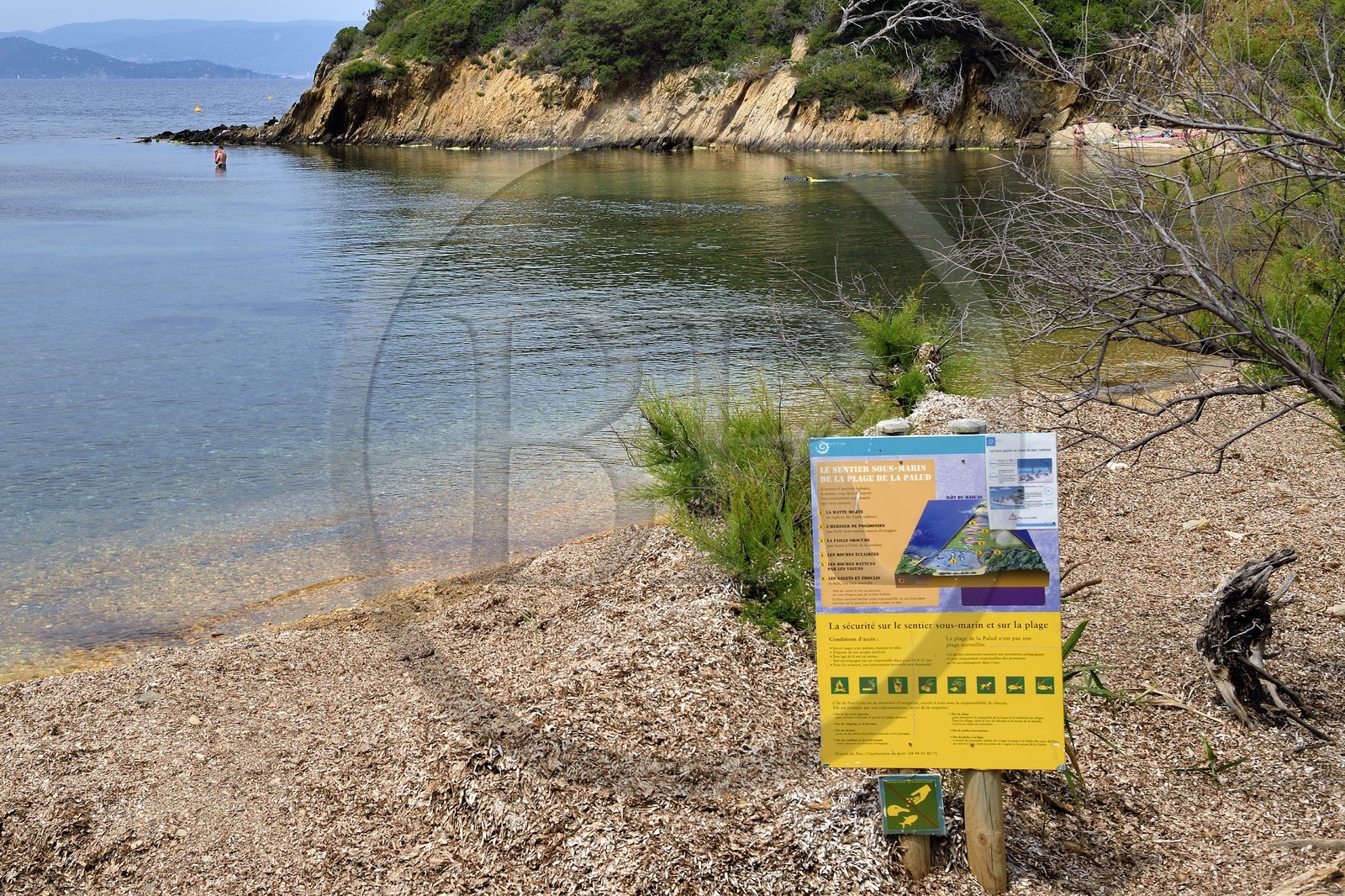 France, Var (83), Iles d'Hyères, Parc national de Port Cros, Ile de Port-Cros, sentier sous marin de la plage de la Palud