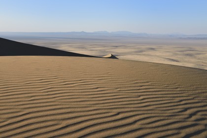 Iran, Province de Yazd, désert du Dasht-e Kavir, Moghestan, massif dunaire dont la plus haute dune atteint les 200 mètres