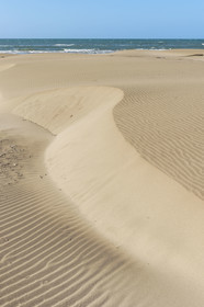 France, Gard (30), massif dunaire camarguais de la Pointe de l'Espiguette en bord de mer