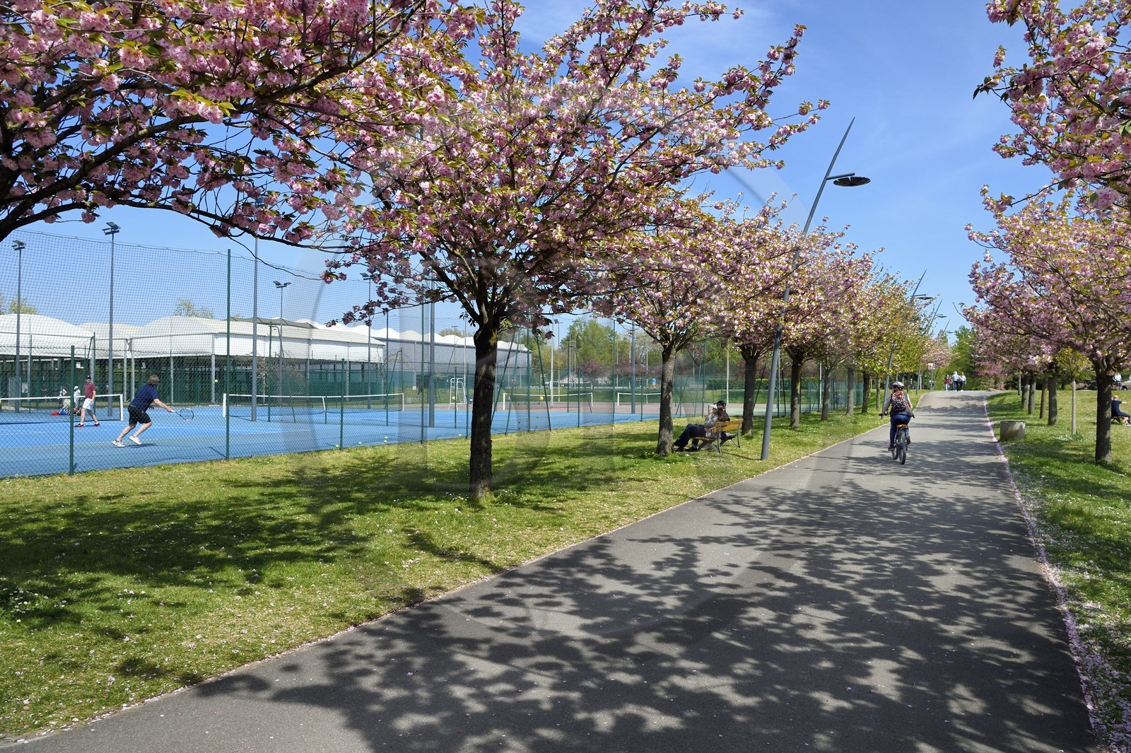 France, Val de Marne, Champigny sur Marne, parc du Tremblay, tennis court