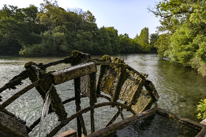 France, Vaucluse (84), L'Isle-sur-la-Sorgue, le partage des eaux sur la Sorgue où la rivière se divise en 2 bras pour se diriger, l’un vers Velleron et l’autre vers Entraigues, ancienne roue de moulin à eau