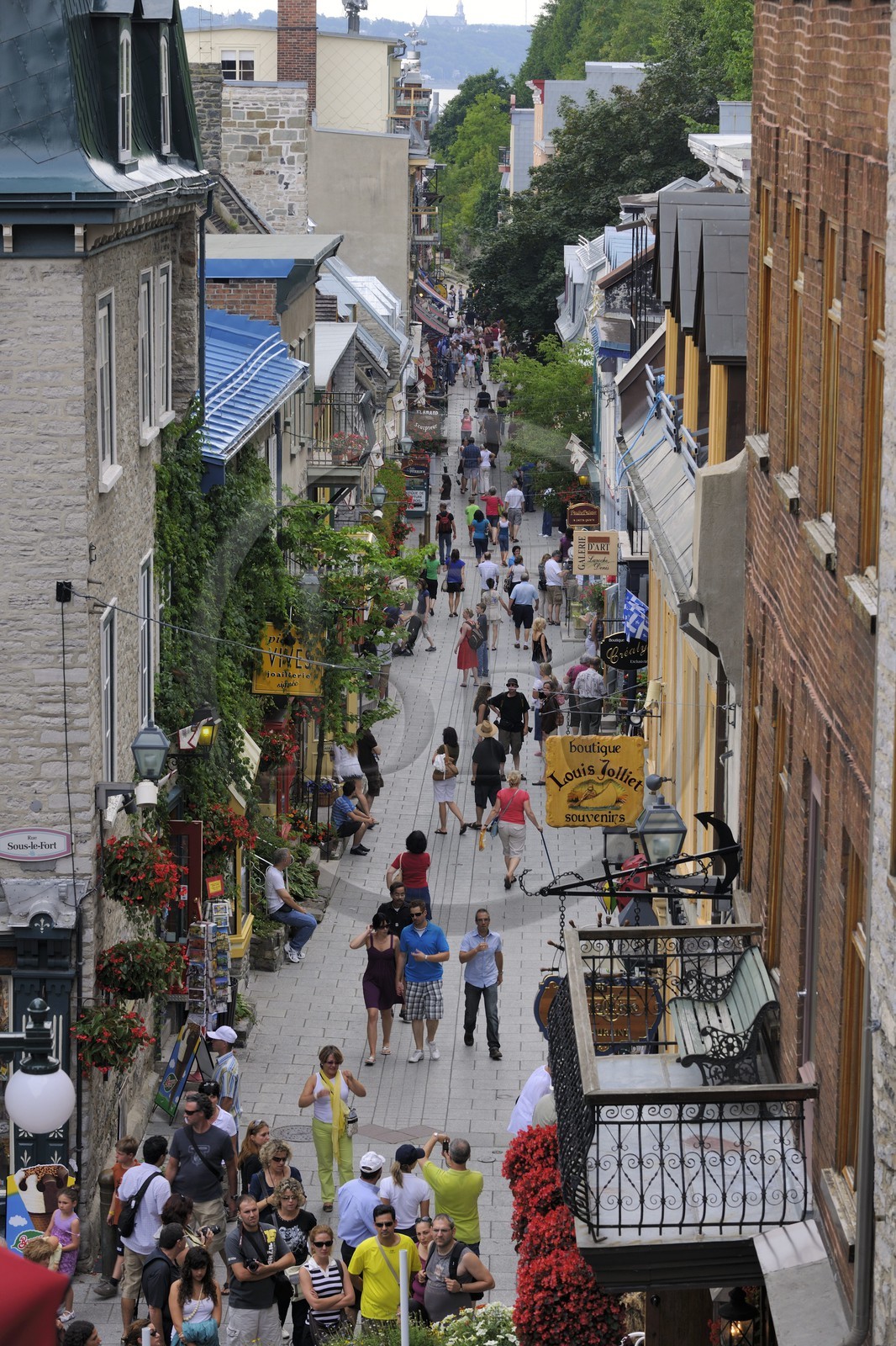 Canada, province de Québec, ville de Québec, Vieux-Québec classé Patrimoine Mondial de l' UNESCO, rue du Petit-Champlain dans la ville basse