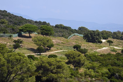 France, Var (83), Iles d'Hyères, Parc national de Port Cros, Ile du Levant, mur de séparation entre la zone militaire au premier plan et la zone civile d'Héliopolis en arrière plan