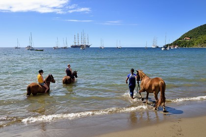 Caribbean, Dominica Island, Portsmouth, Prince Rupert Bay, horseback riding on the beach with a passage in the Caribbean Sea