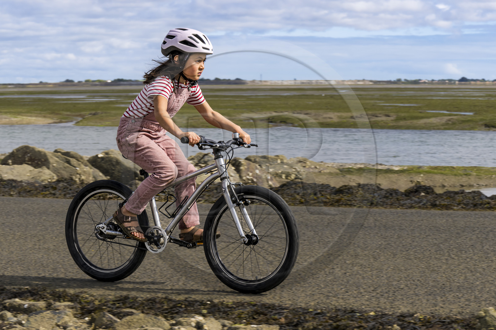 France, Vendée (85), île de Noirmoutier, Barbatre, cyclistes sur le passage du Gois, chaussée submersible qui relie l'île au continent à marrée basse