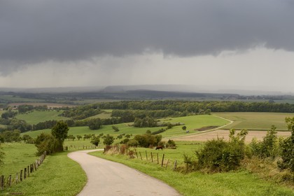 France, Meurthe-et-Moselle (54), pays du Saintois, route descendant de la colline de Sion-Vaudémont
