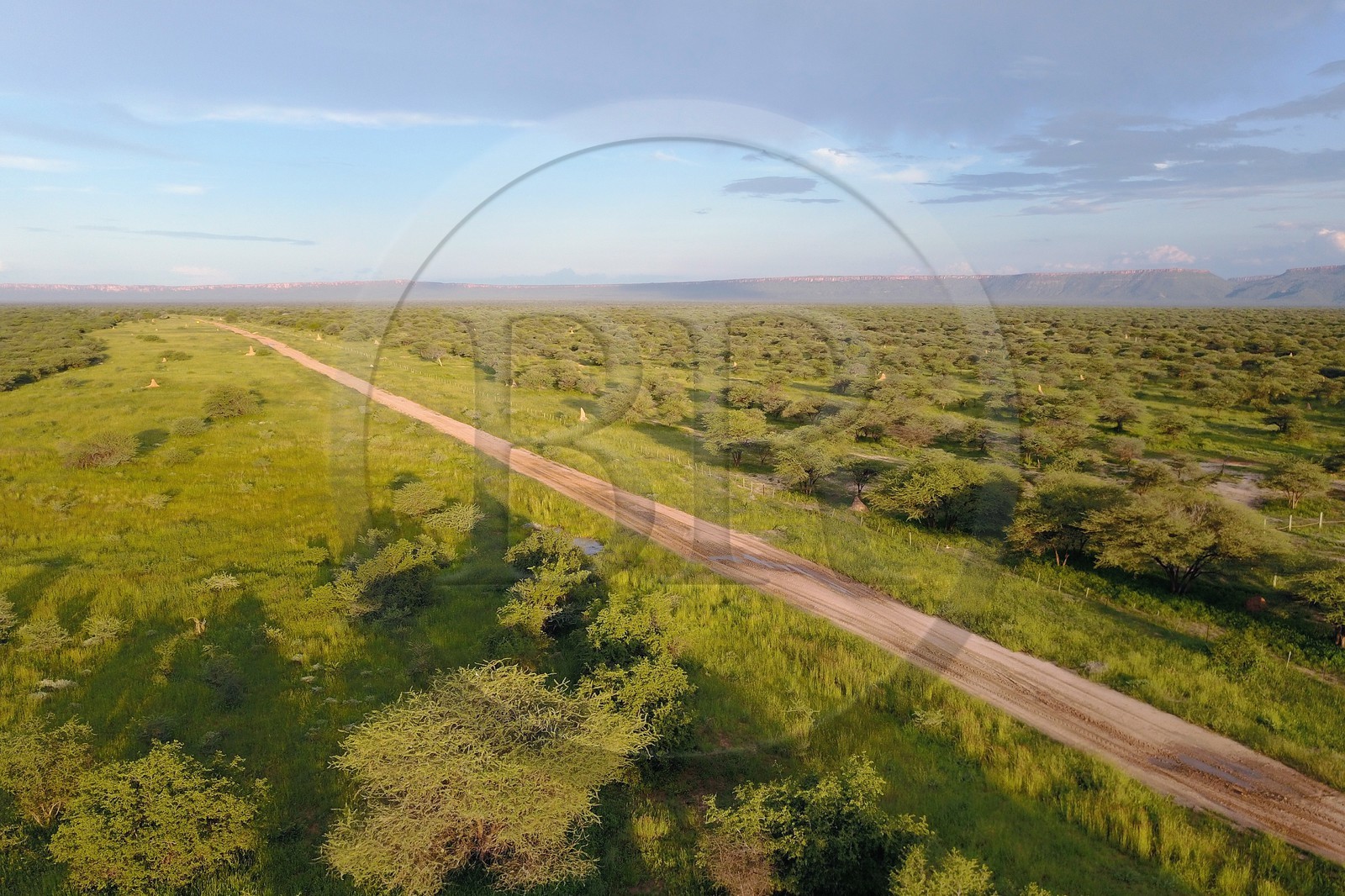 Namibie, Otjiwarongo, le bush autour du Cheetah Conservation Fund (vue a