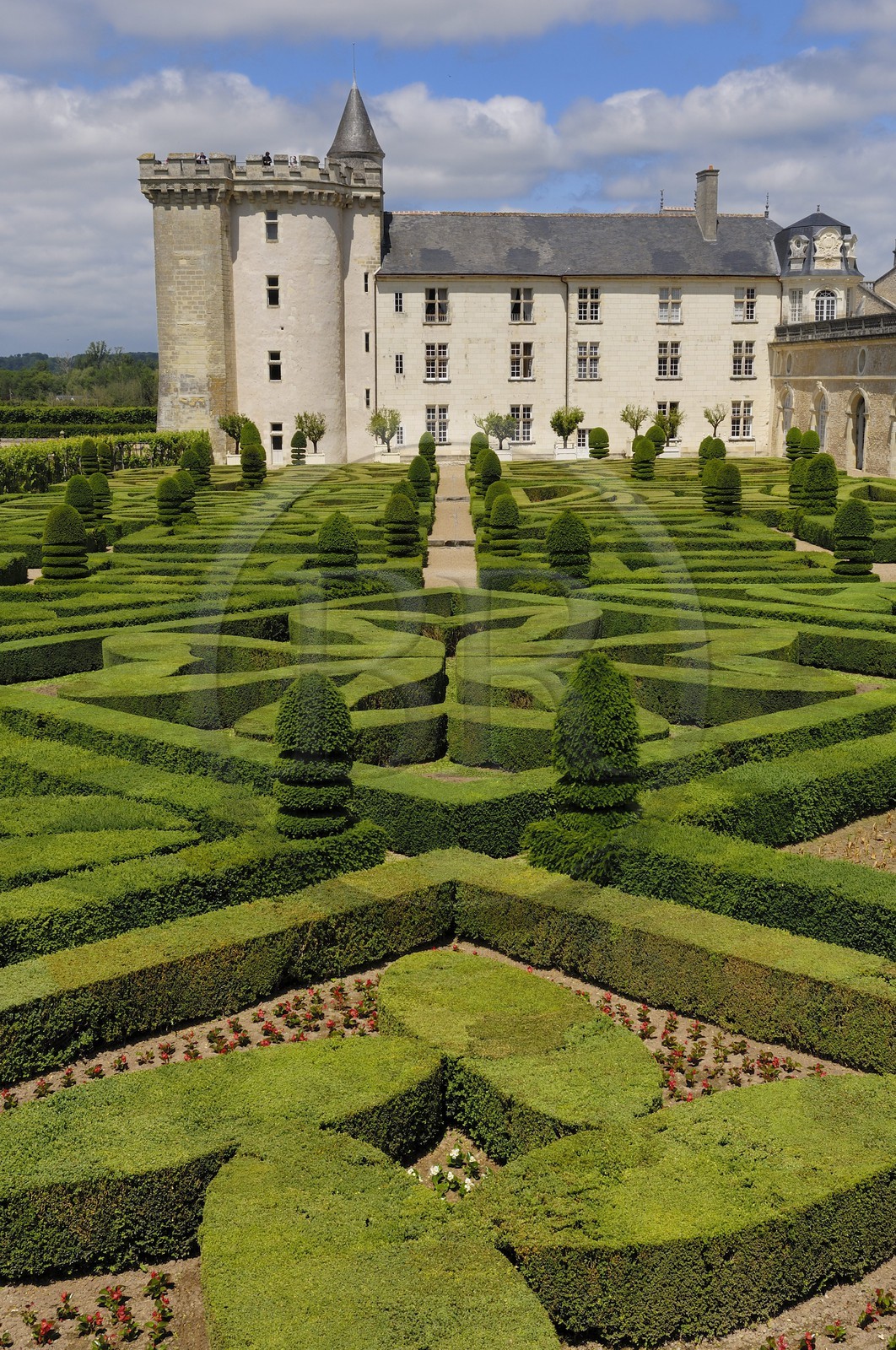 France, Indre et Loire, Loire Valley listed as World Heritage by UNESCO, Chateau de Villandry, the castle and the gardens, owned by Henry and Angelica Carvallo
