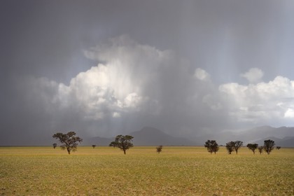 Namibie, région de Khomas, désert du Namib à l'Est du parc national Namib Naukluft sous une pluie d'orage