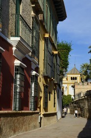 Espagne, Andalousie, Séville, calle Agua ou ruelle de l'eau est le cœur géographique du quartier Santa Cruz et fut baptisée ainsi car elle longeait un aqueduc encore en usage qui assurait l'alimentation en eau de l'Alcazar