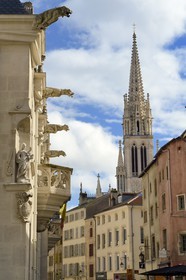 France, Meurthe-et-Moselle (54), Nancy, les gargouilles du Palais Ducal (Palais des Ducs de Lorraine) qui abrite le Musée historique lorrain et la basilique Saint-Epvre en arrière plan