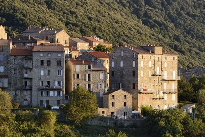 France, Corse-du-Sud (2A), Alta Rocca, Sainte-Lucie-de-Tallano (Santa Lucia di Tallà)
