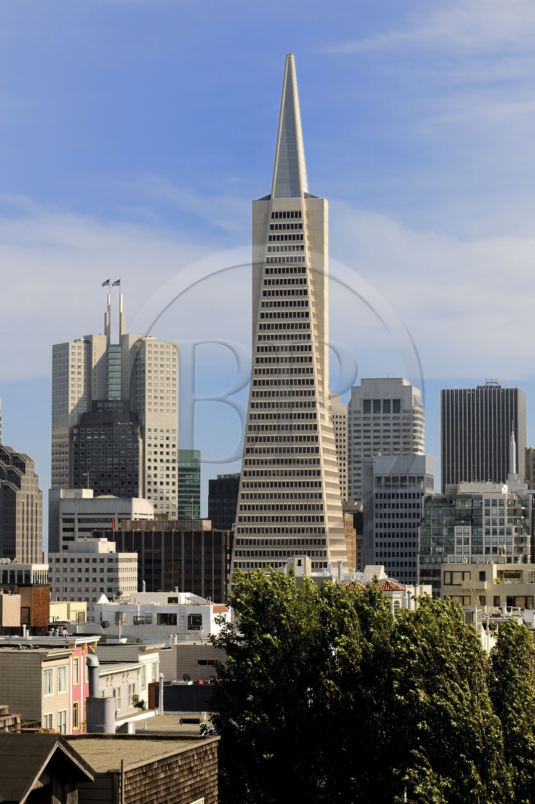 United States, California, San Francisco, Financial District, Transamerica Pyramid Building by the architect William Leonard Pereira