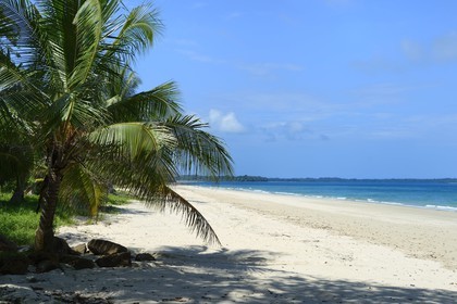 Panama, Pearl Islands, Isla Viveros, white sand beach