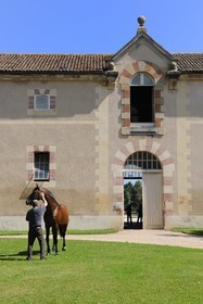 France, Saône et Loire (71), Cluny, le Haras national