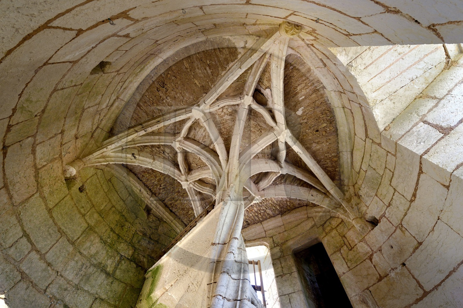 France, Dordogne, Rouffignac-Saint-Cernin-de-Reilhac, Herm Castle, the spiral staircase culminating in a stone palm