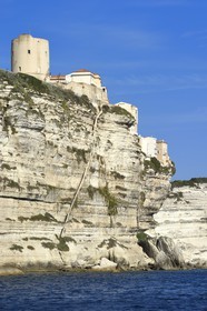 France, Corse-du-Sud (2A), Bonifacio, l'escalier du Roi-d'Aragon sculpté dans les falaises calcaires et le donjon