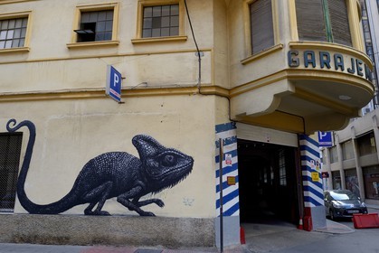 Spain, Andalusia, Malaga, Soho district, barrio de las Artes (Arts District), Maus street art, mural of Belgian artist Roa