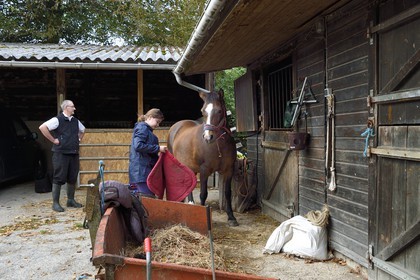 France, Calvados (14), Pays d'Auge, La Roque Baignard, écurie de Franz et Claire Gerl