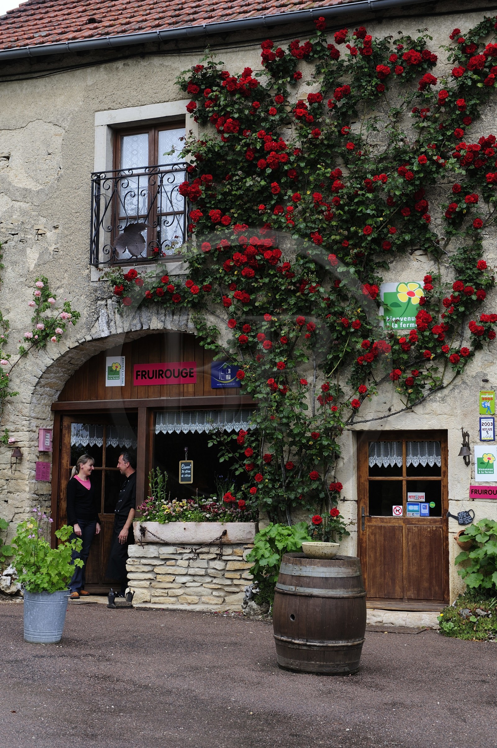 France, Côte d'Or (21), Concoeur, Ferme Fruitrouge, Isabelle et Sylvain Olivier produisent tous les produits à base de fruits rouges qu'ils récoltent