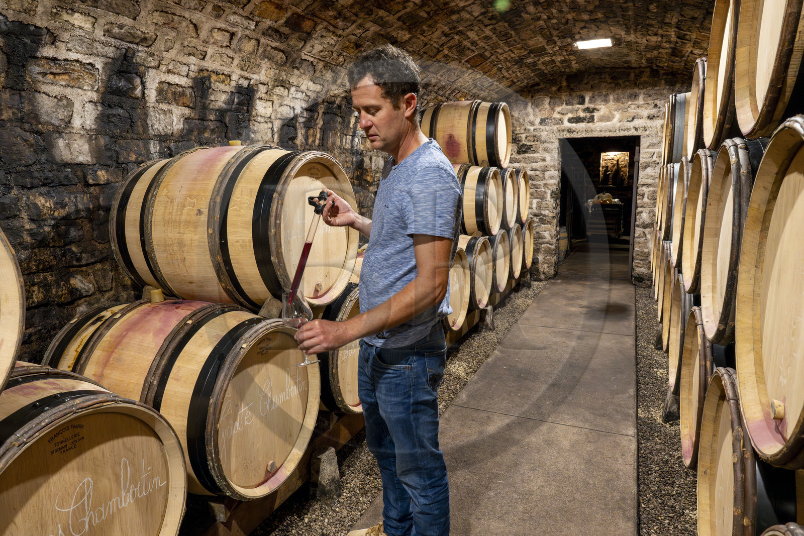 France, Côte-d'Or (21), Paysage culturel des climats de Bourgogne classés Patrimoine Mondial de l'UNESCO, Route des Grands Crus, vignoble de la Côte de Nuits, Gevrey-Chambertin, Domaine Dugat, Bertrand Dugat dans les cave sous l'ancien Cellier des Dimes des évêques de Langres où il entrepose ses tonneaux