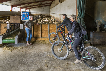 France, Aveyron (12), parc naturel régional des Grands-Causses, Versols-et-Lapeyre, ferme d'Hermilix, cyclistes effectuant l'itinéraire cyclo touristique Brebis'Cyclette en Pays de Roquefort, l'éleveuse Alice Ricard avec ses brebis Lacaune dont le lait sert pour l'élaboration du roquefort AOP