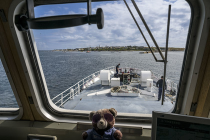 France, Finistère (29), Mer d'Iroise, Ile de Molène, navire de la Penn ar Bed assurant la liaison avec les iles de Molène et Ouessant, arrivée sur l'Ile de Molène vue depuis la passerelle avec le pilote