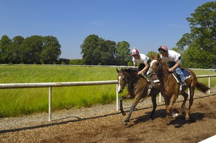 Republic of Ireland, County Kildare, Maynooth, Moyglare Stud, horse training