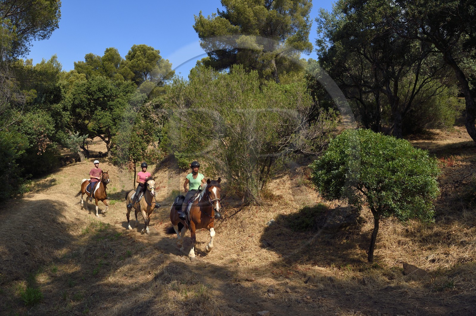 France, Var (83), Agay commune de Saint-Raphaël, cavaliers en randonnée dans le massif de l'Estérel