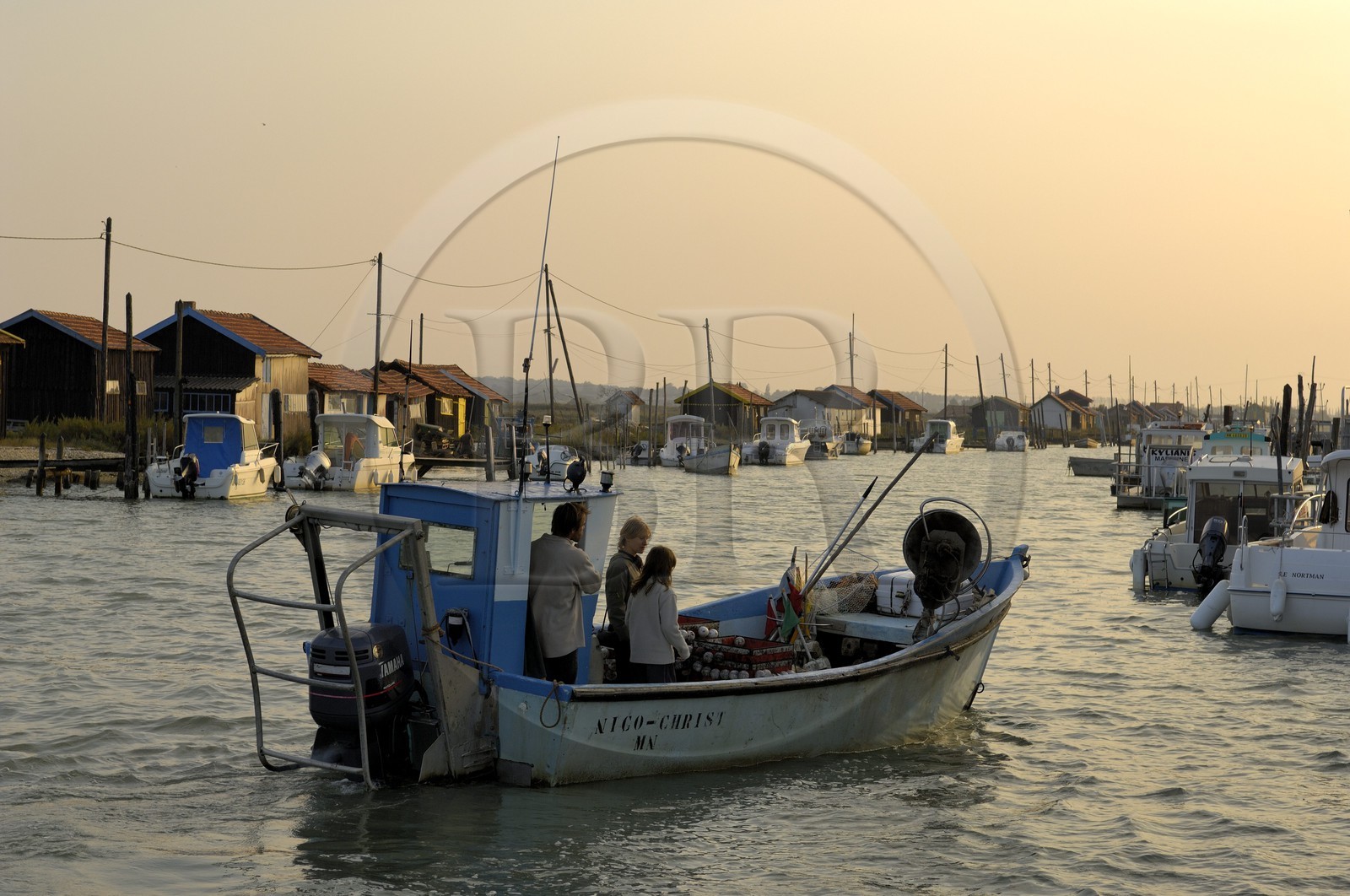 France, Charente-Maritime (17), bassin de Marennes-Oléron, La Tremblade, port de la grève