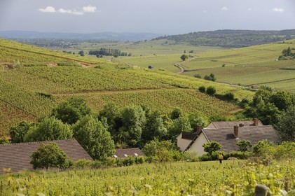 France, Côte d'Or (21), Pernand-Vergeles et la côte de Beaune