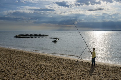 Saint-Brevin-les-Pins, Mindin, collection d'art contemporain à ciel ouvert Estuaire, le Serpent d'Océan réalisé par l'artiste chinois Huang Yong Ping représentant un long squelette de serpent de mer, installé sur l'estran et apparaissant au rythme des marées