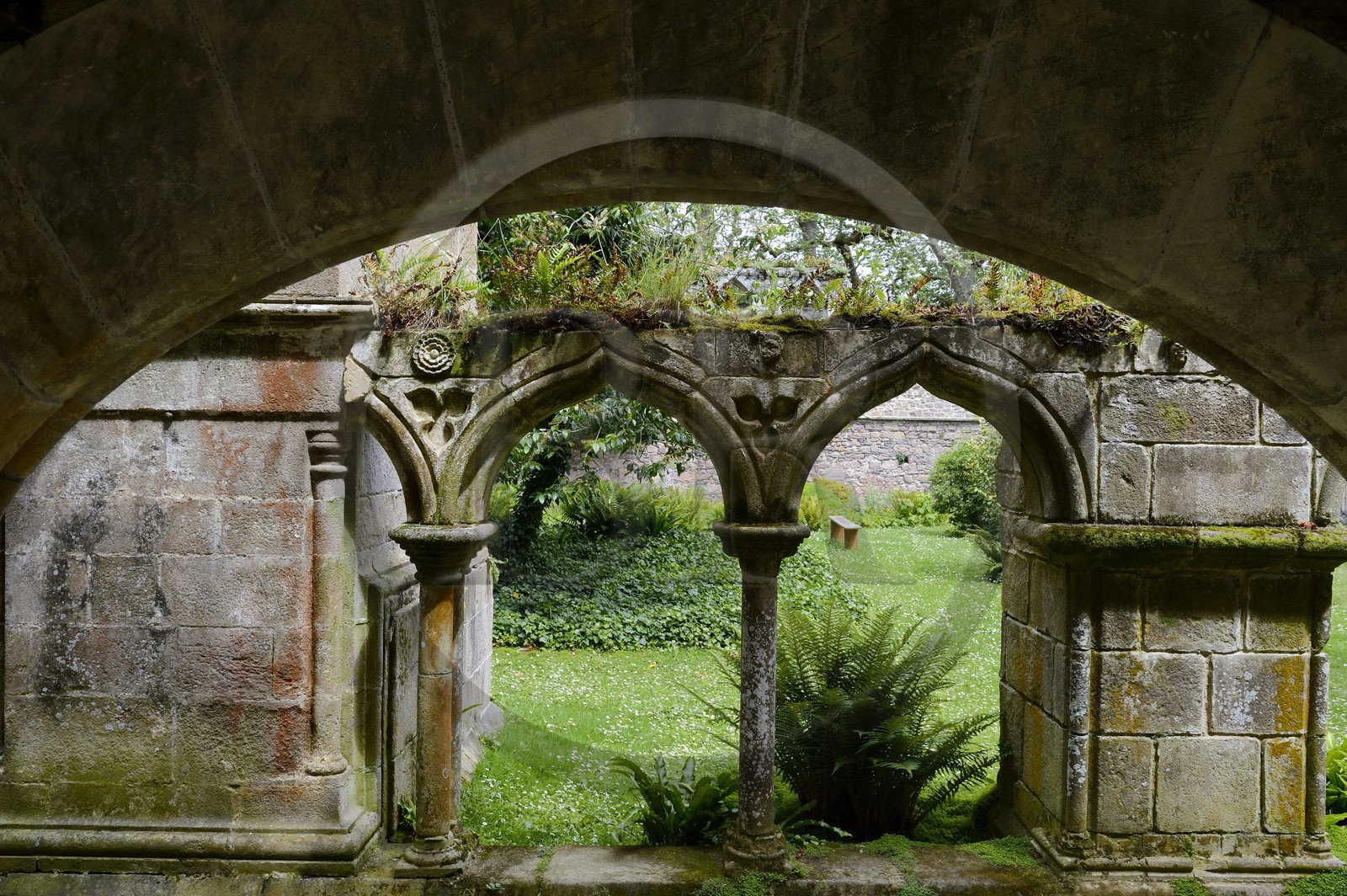 France, Côtes-d'Armor (22), étape sur le chemin de Saint-Jacques de Compostelle, Paimpol, abbaye de Beauport du XIIIe siècle, le cloitre