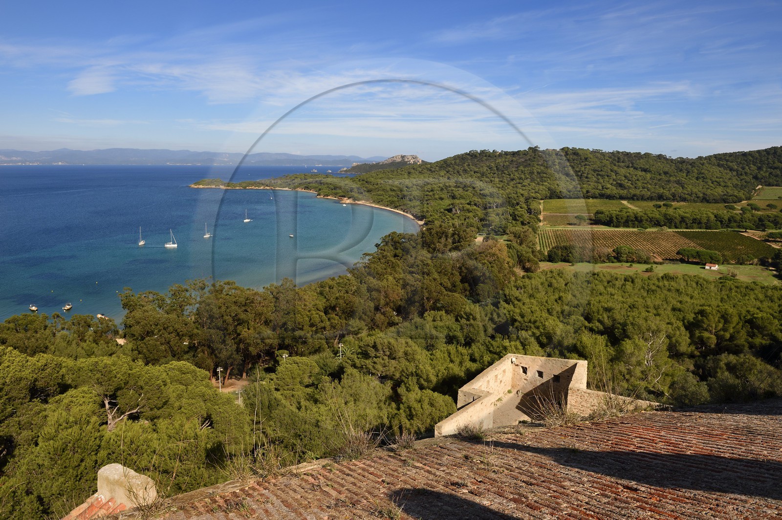 France, Var (83), Iles d'Hyères, parc national de Port Cros, Ile de Porquerolles, plage de la Courtade vue depuis le chateau Sainte-Agathe