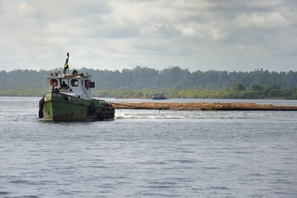 Gabon, province de Ogooué- Maritime, région de Port-Gentil, billes de bois transportées en radeau jusqu'à Port-Gentil dans la baie du Cap Lopez