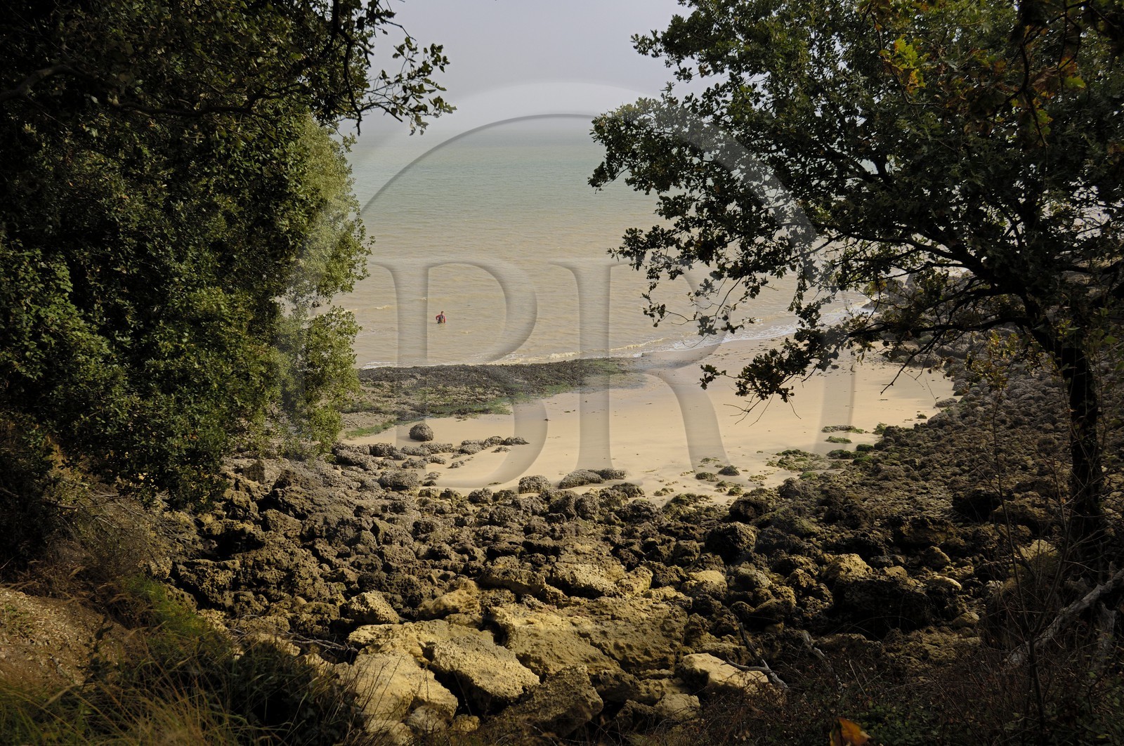 France, Charente-Maritime (17), Ile d'Aix, plage des Sables Jaunes, pêche à la treuille (pour les crevettes)